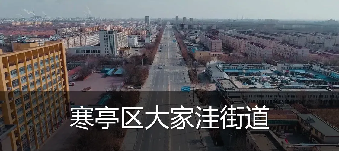 寒亭区大家洼街道